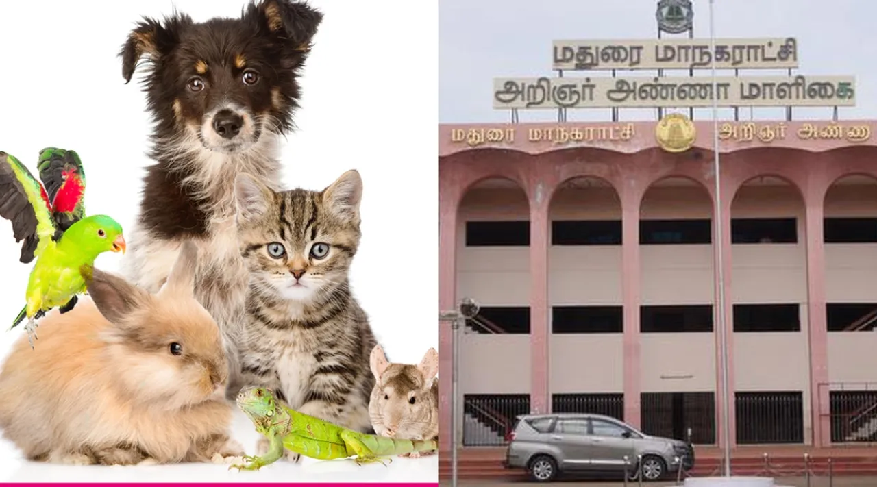Madurai Corporation charges for pets and domestic animals house Tamil News 