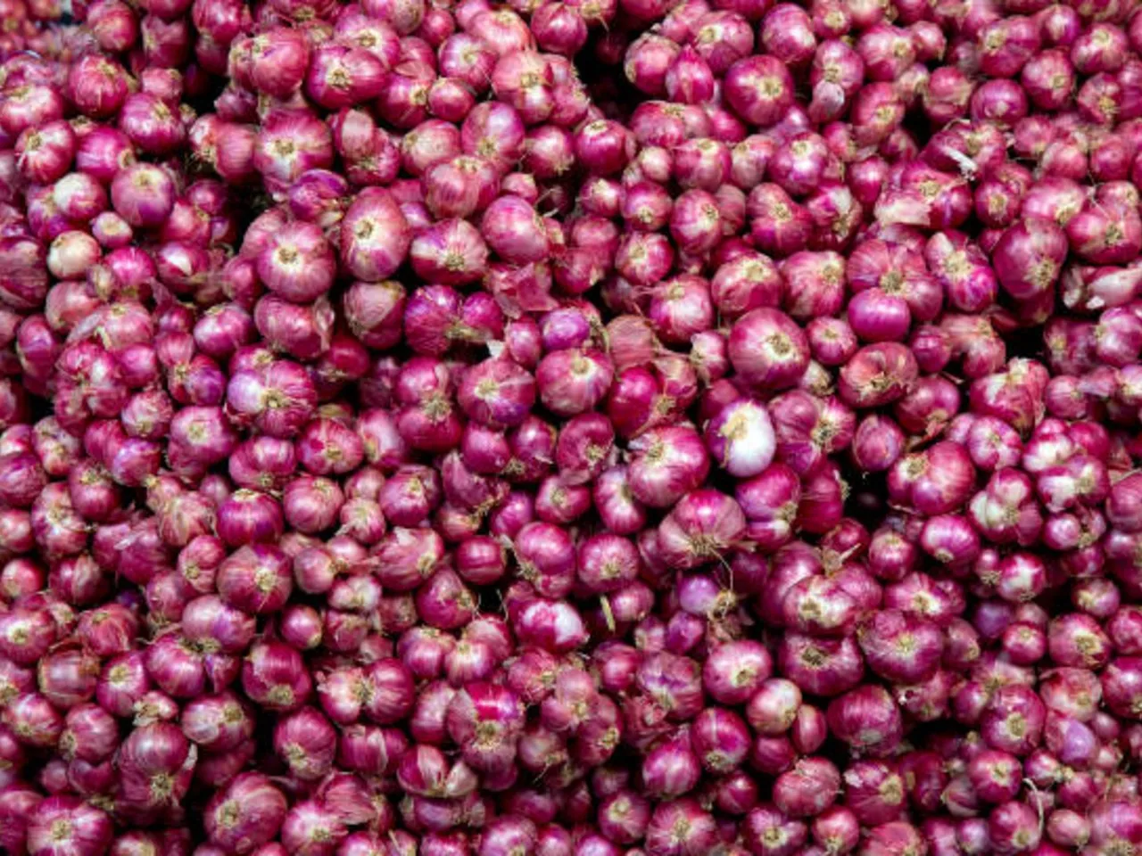 small onion