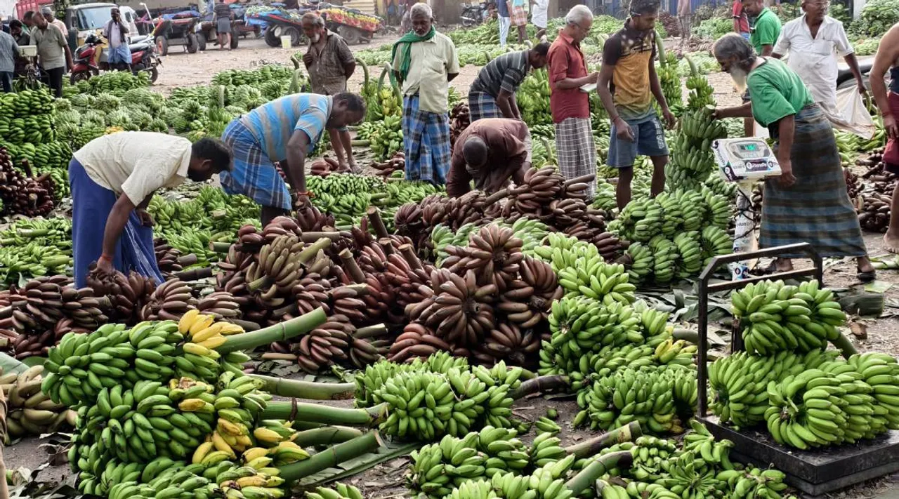 banana