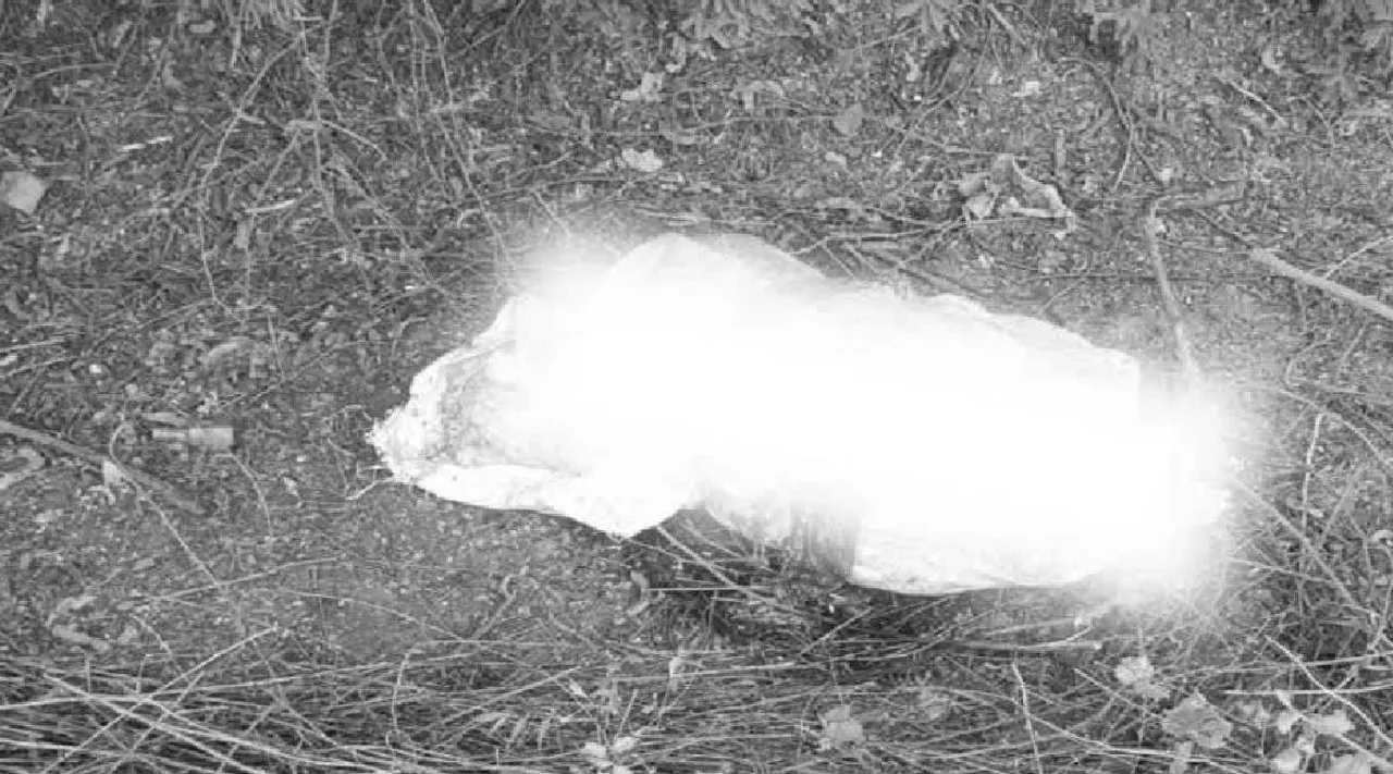 Dead body found