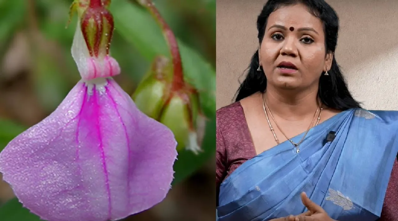Doctor Jeyarubha