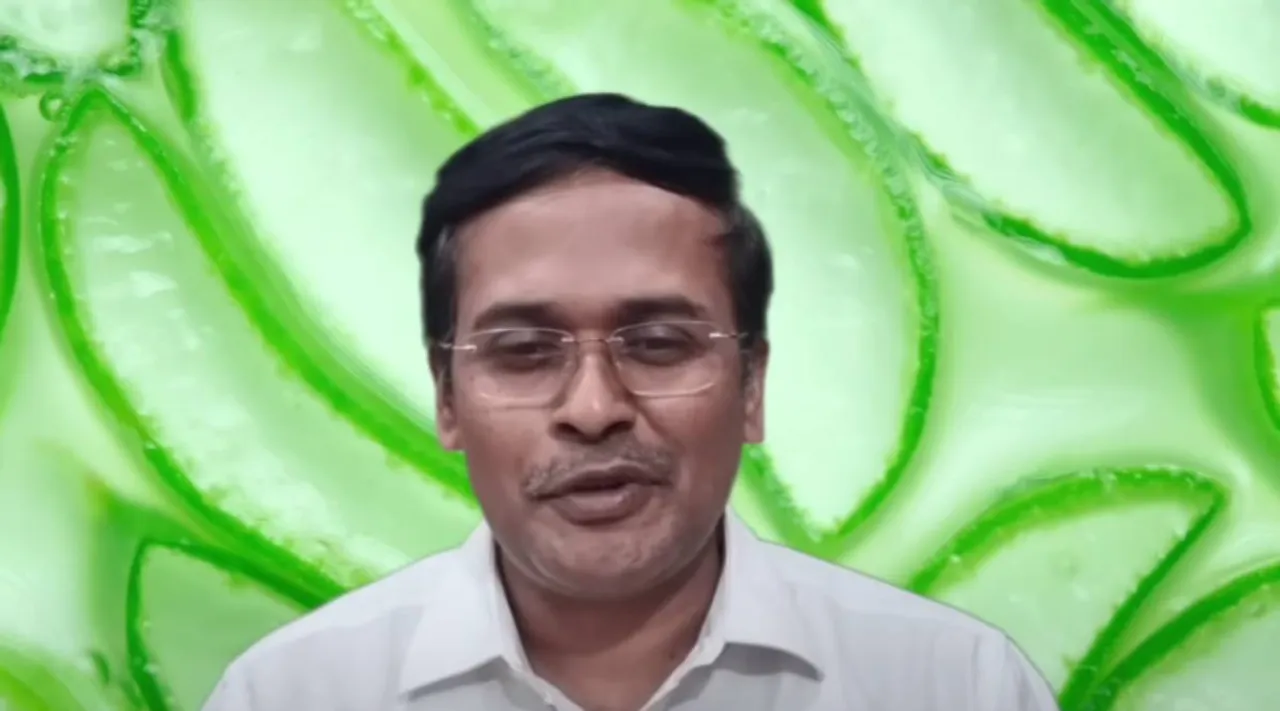 கற்றாழை