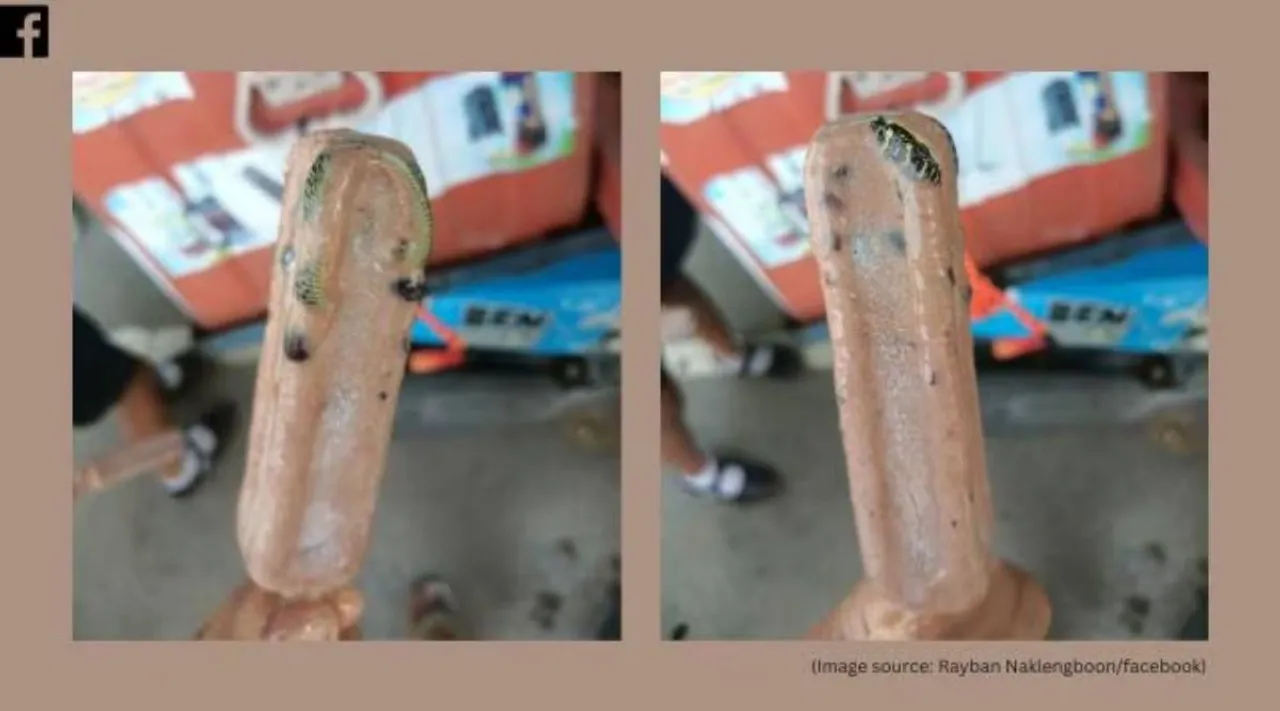 snake ice- cream thailand
