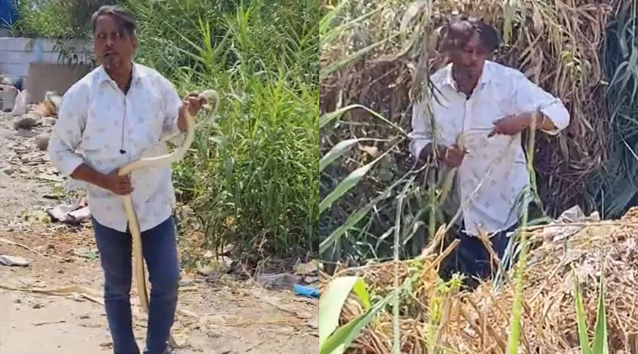 Saraipambu