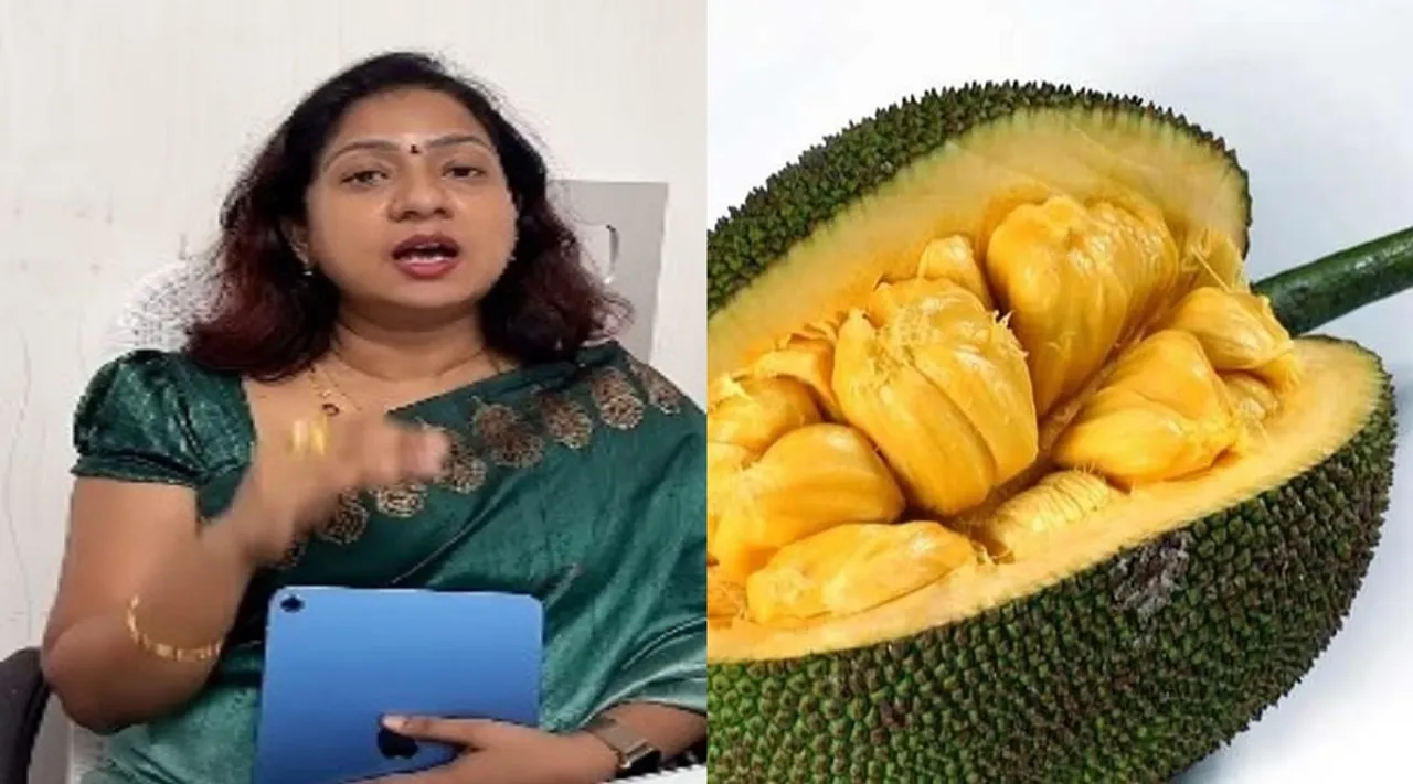 asha jack fruit