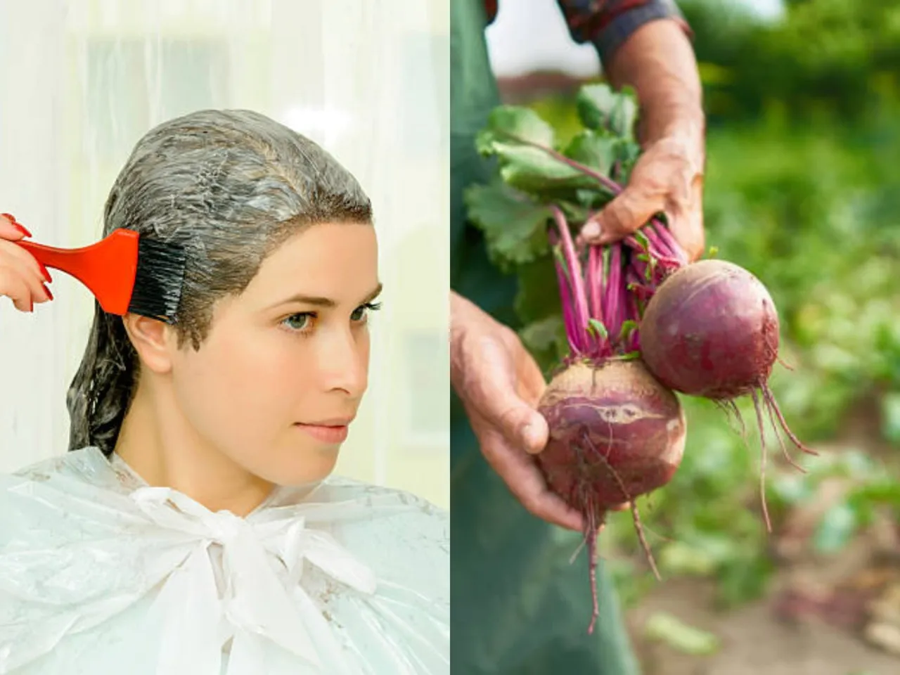 beetroot