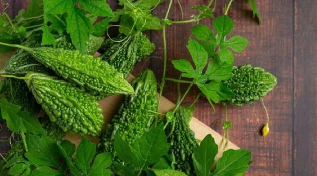 Karela leaves