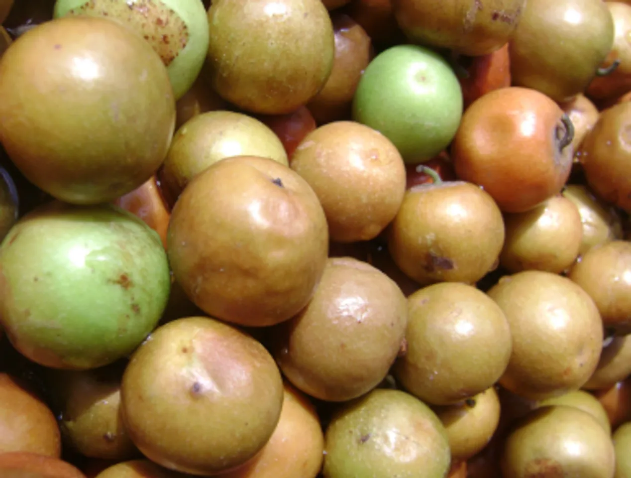 இலந்தைப்பழம்