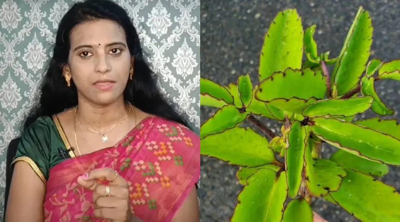 Dr Mythili Ranakalli