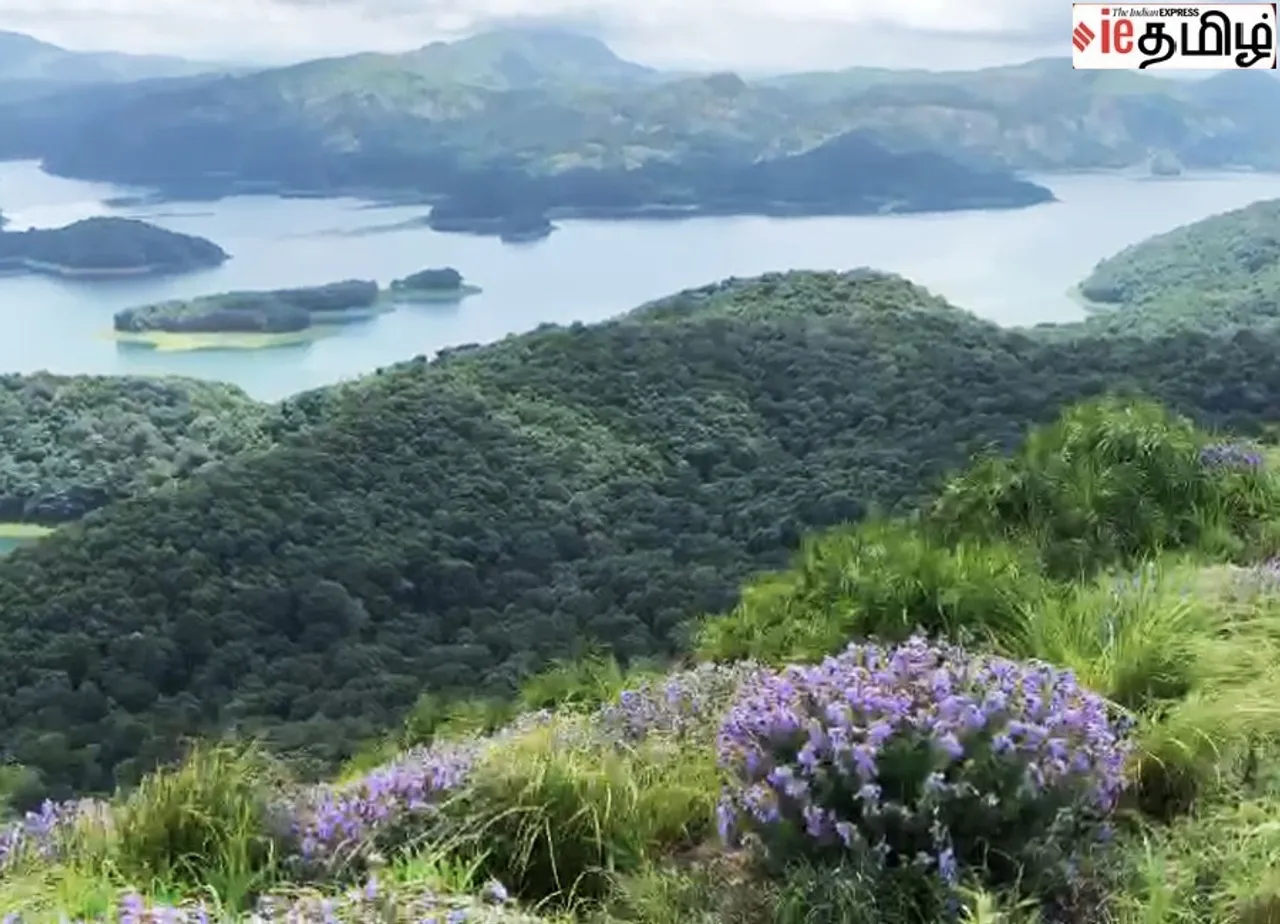 Idukki 