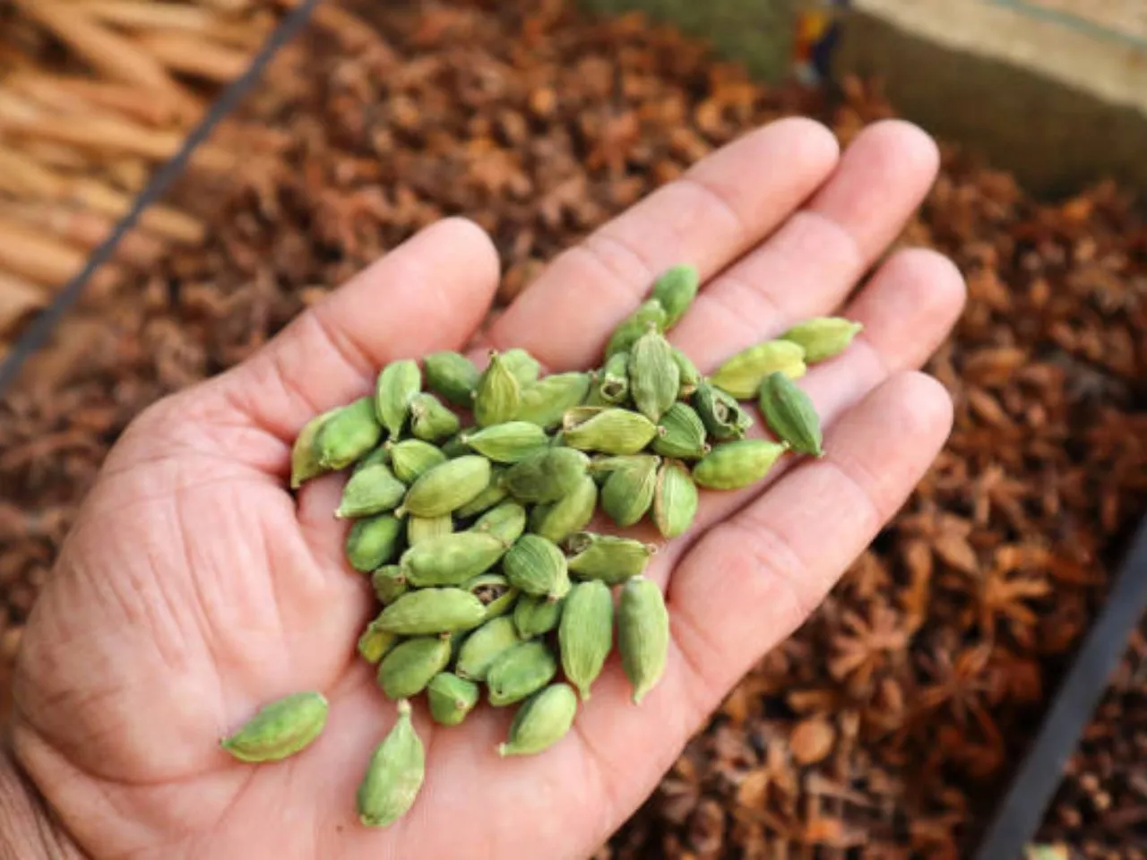 cardamom
