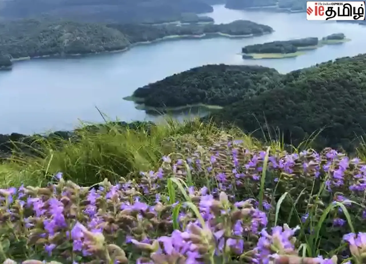 Idukki 