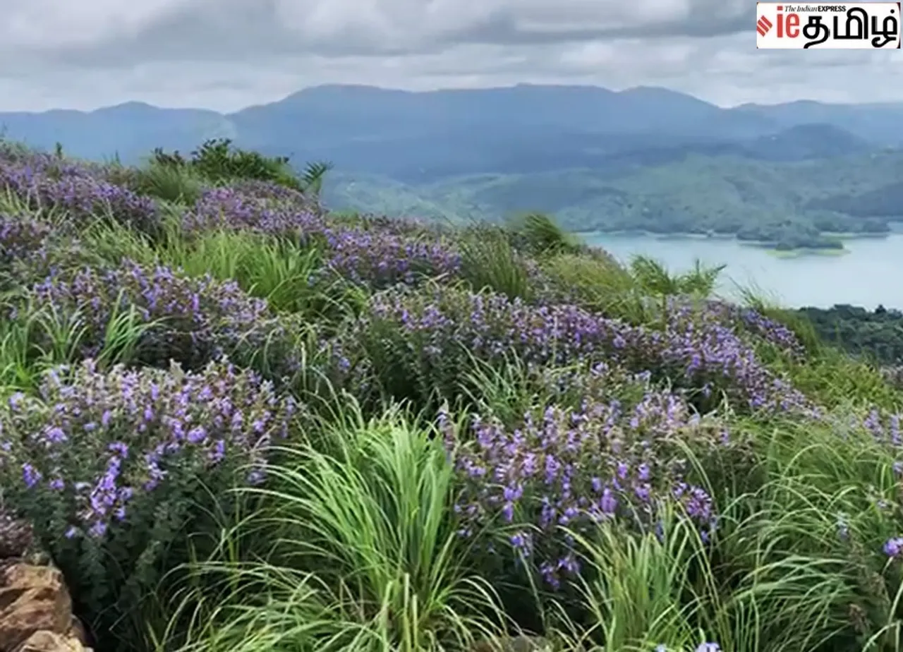Idukki 
