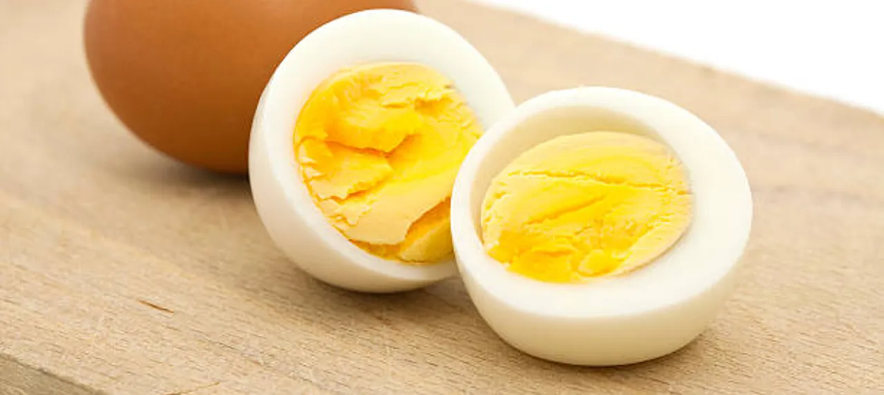 egg