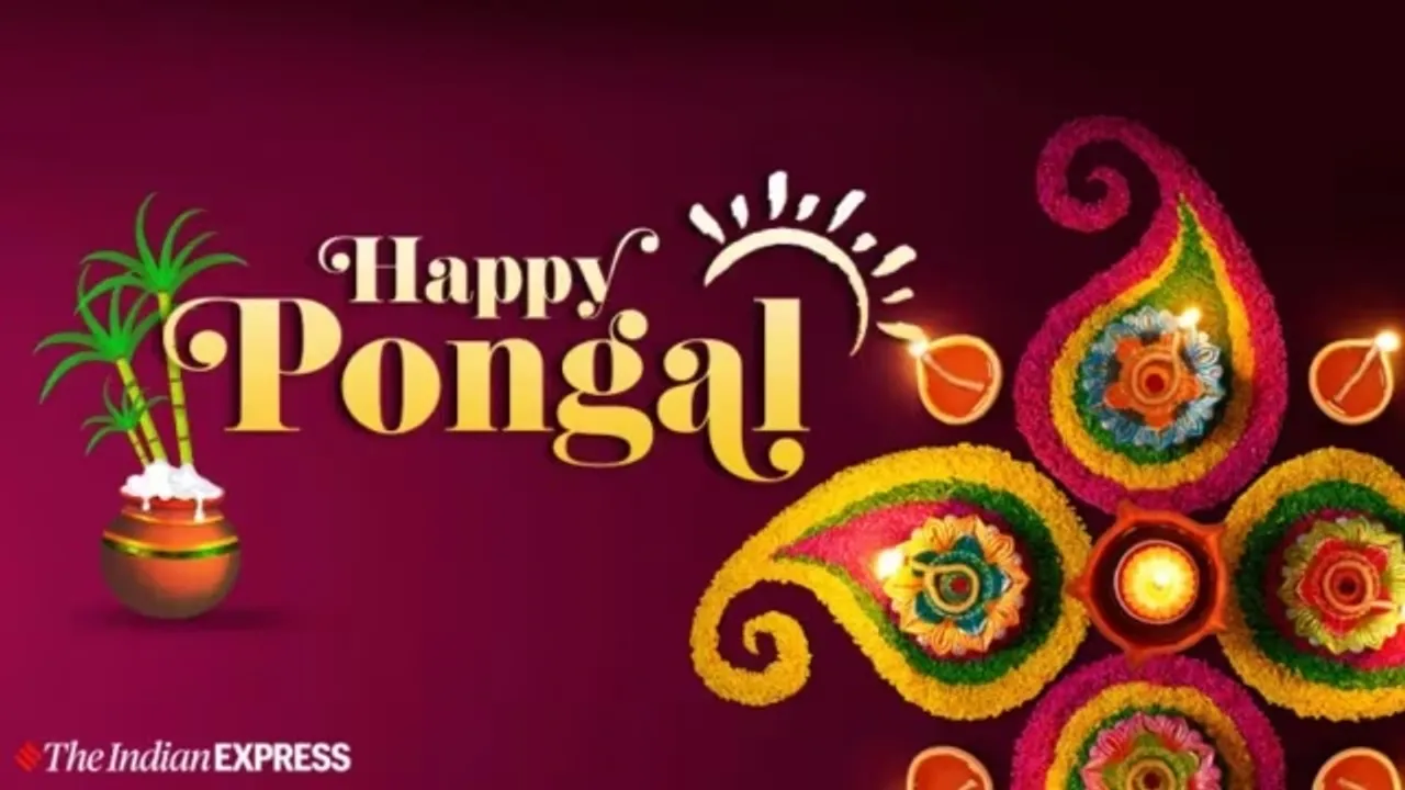 Pongal 2024 Get to know the Date Time Significance Rituals