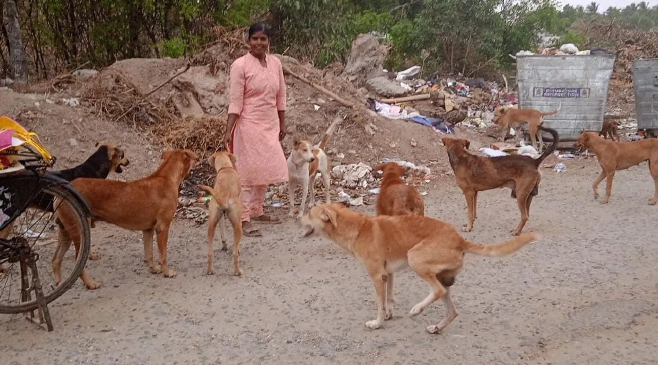 Coimbatore Police on Feeding Stray Dogs Prosecution Against Deterrents Tamil News 