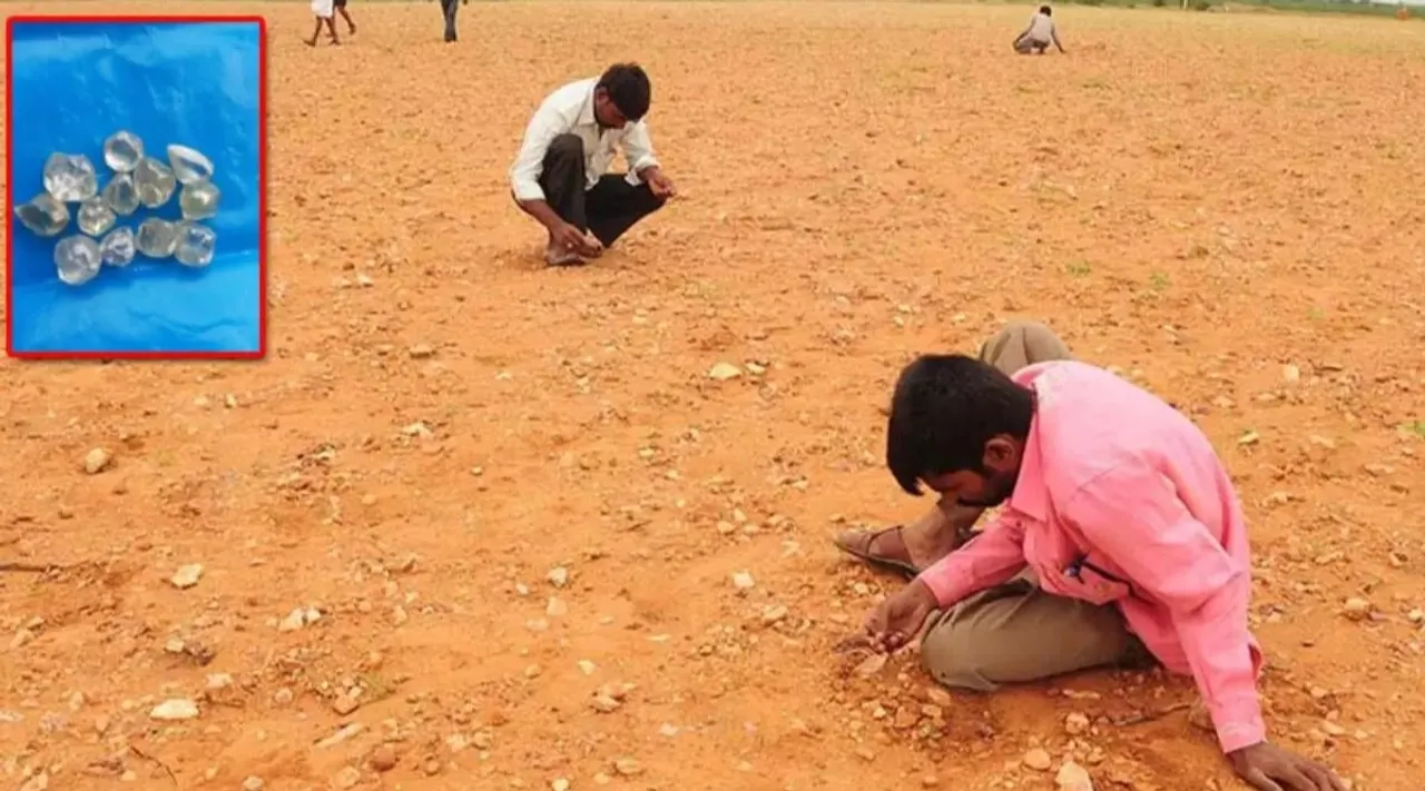 Diamond hunt in Andhra Pradesh Kurnool dist Guntakal Pathikonda areas agricultural fields viral News in tamil  