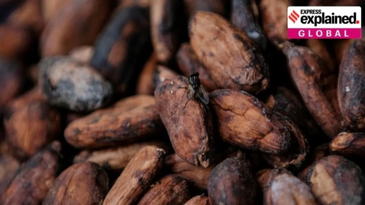 Chocolate industry meltdown What led to the rise in prices of cocoa beans