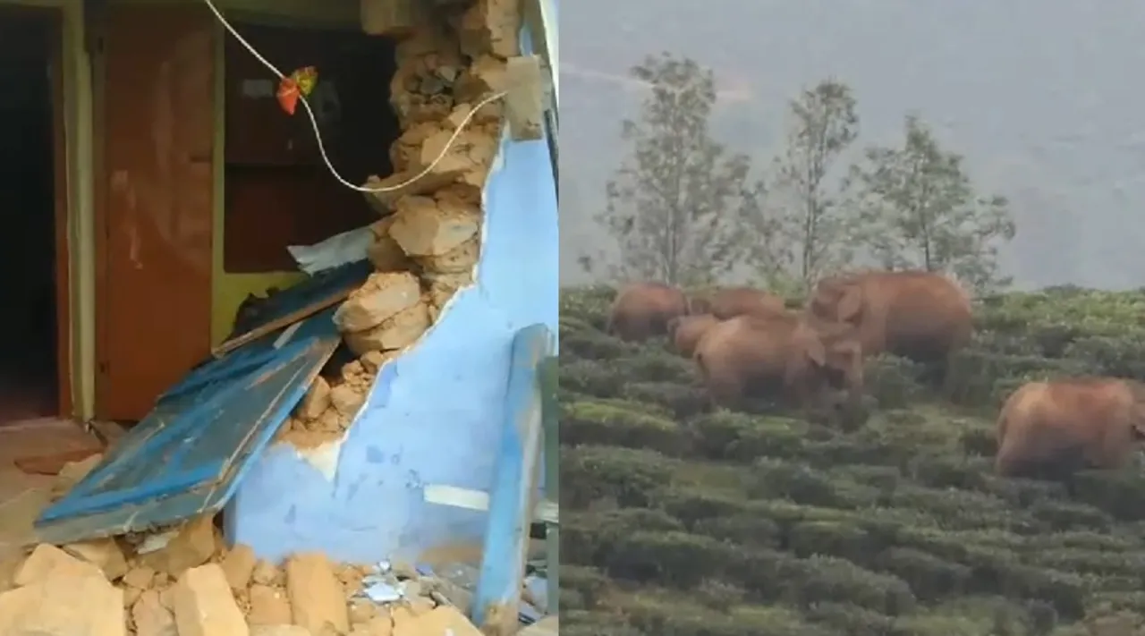 Valparai Tea estate workers houses demolished by Wild elephants video Tamil News 