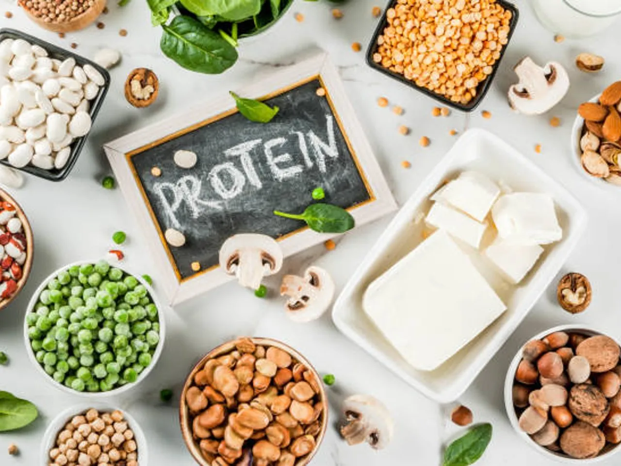 vegetarian protein