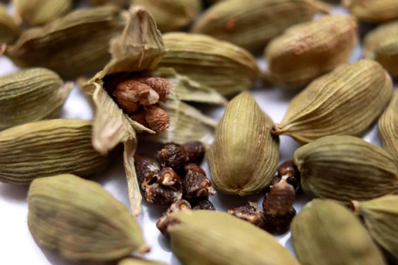 cardamom