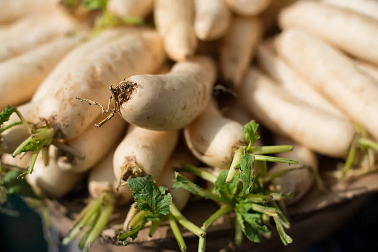 Health benefits of consuming radish