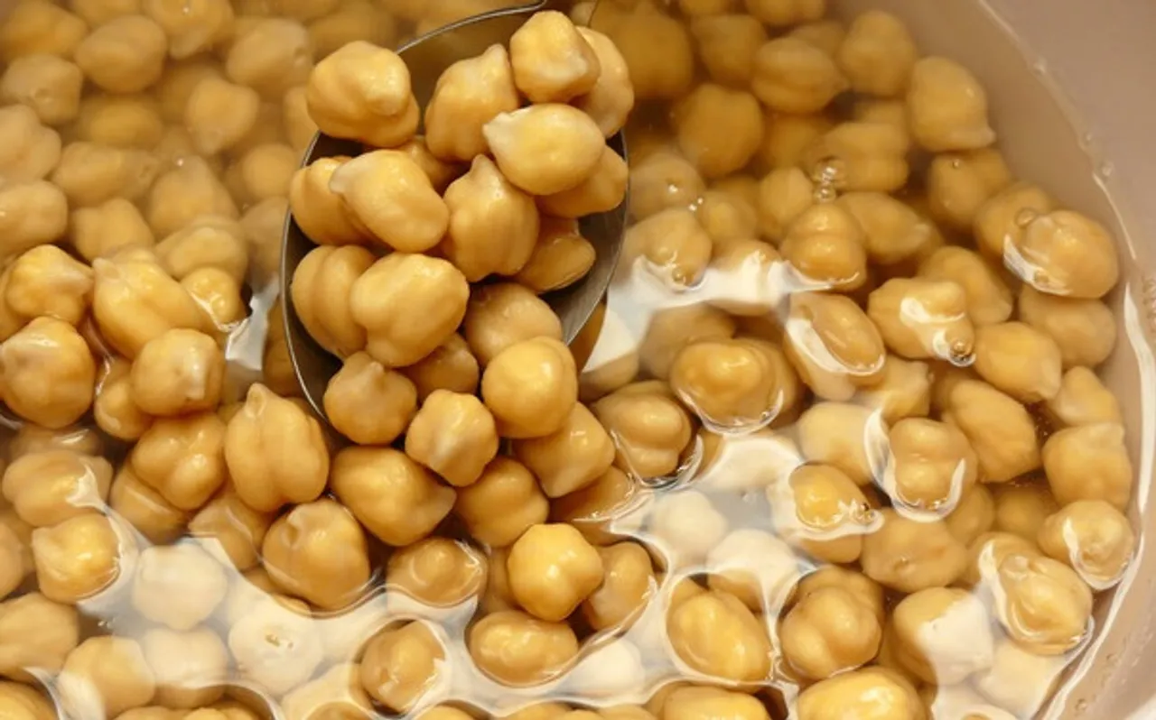 Chickpea