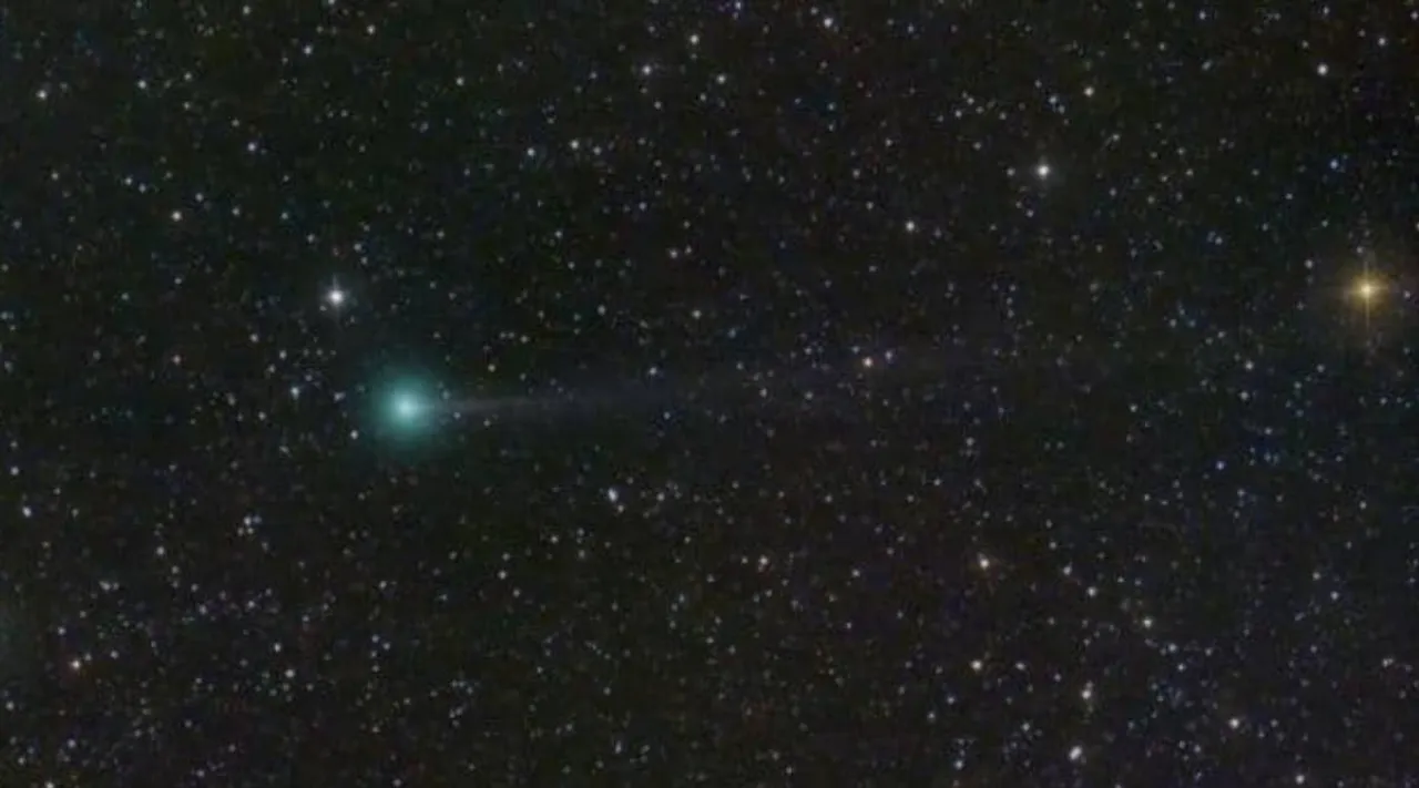 Comet Nishimura.jpg