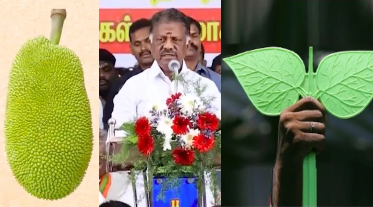 O Panneerselvam collecting vote for ADMK Two Leaves symbol instead of his Jack fruit symbol LS polls 2024  Ramanathapuram Tamil News 