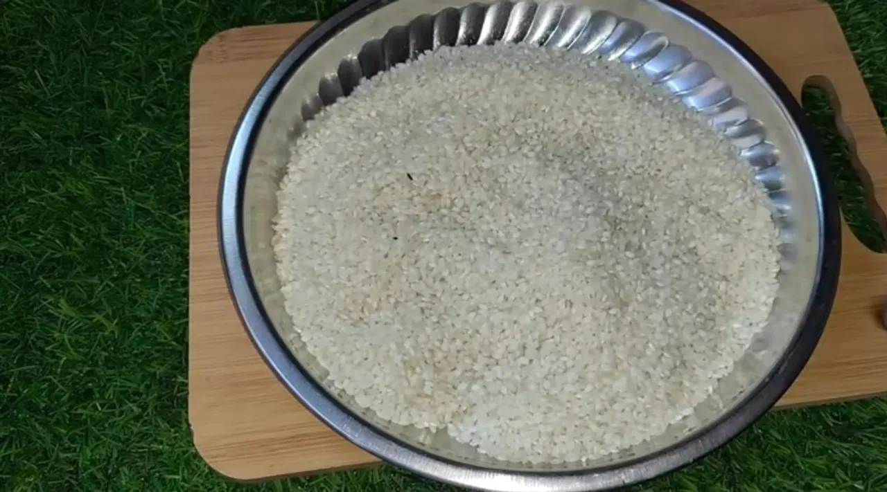 rice 1