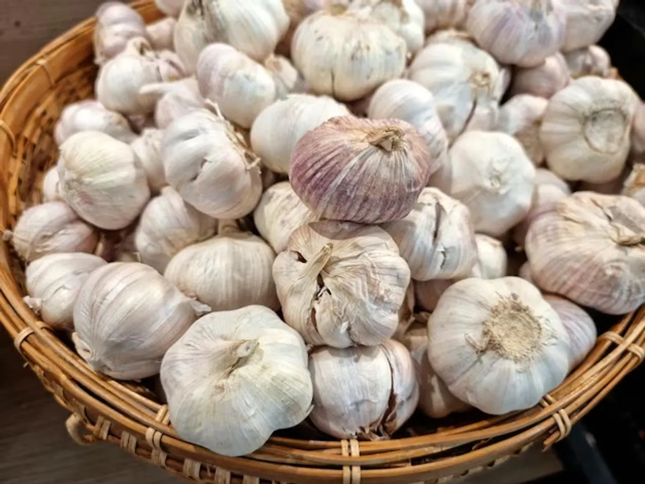 garlic 