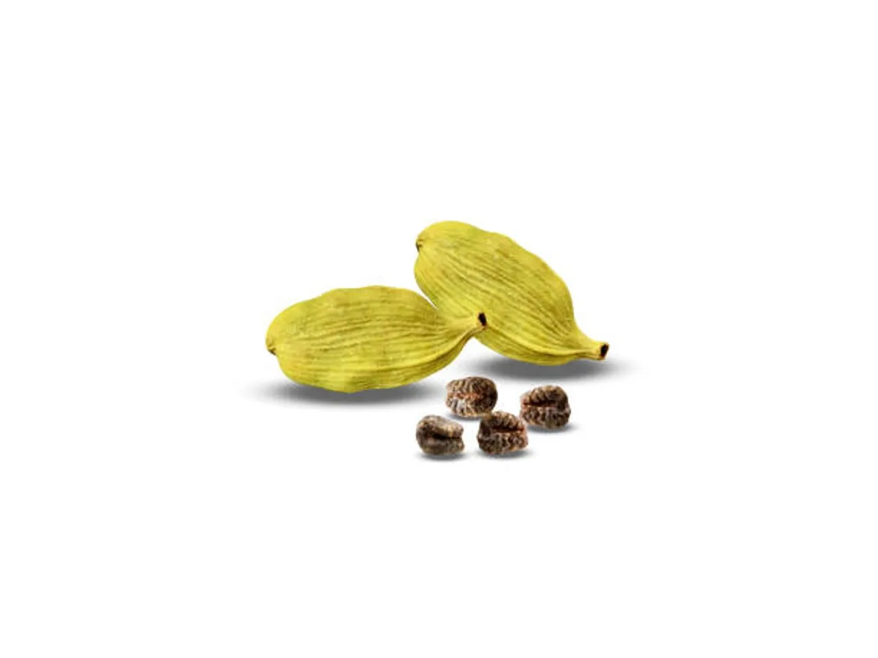 cardamom