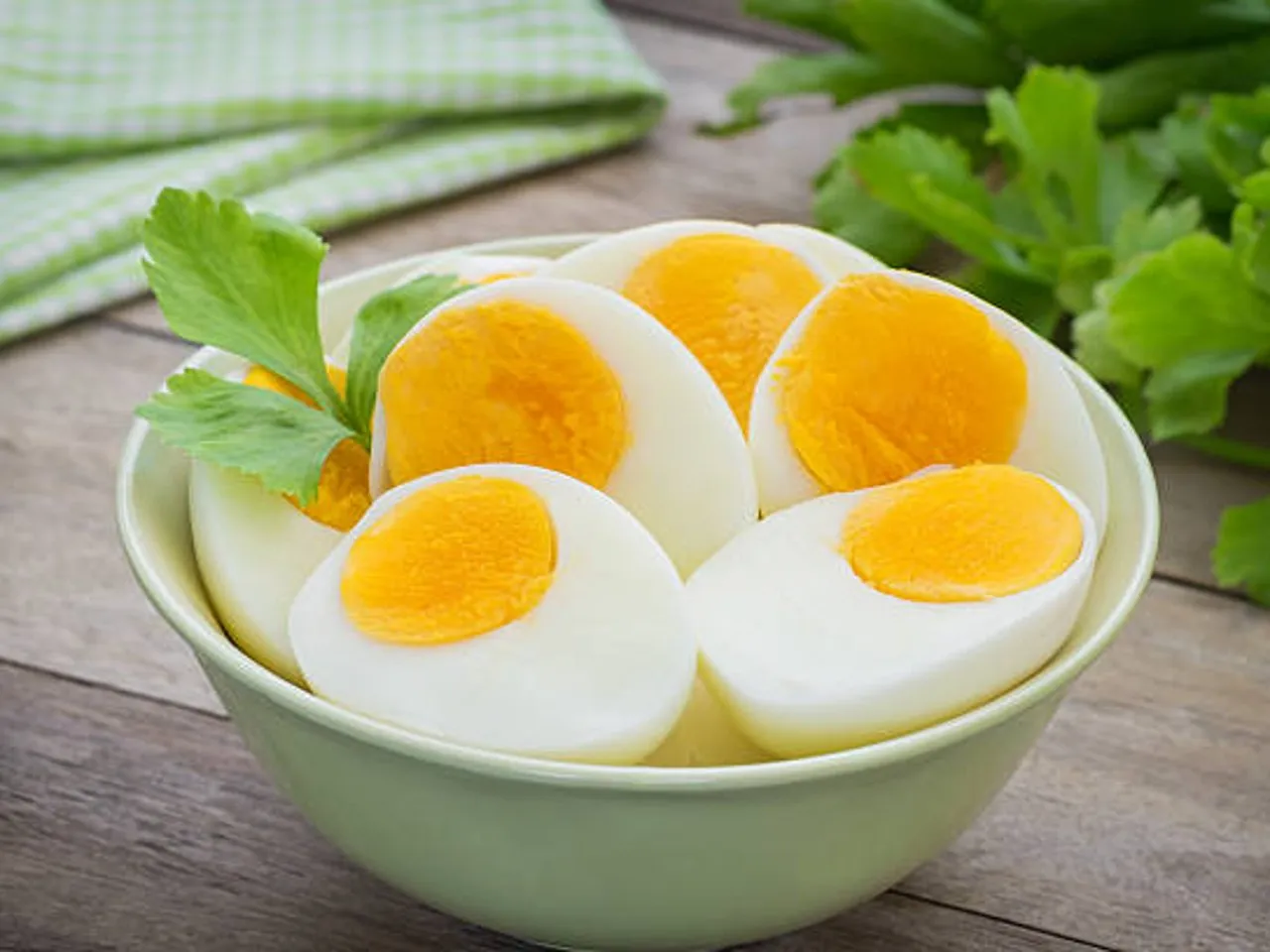 egg