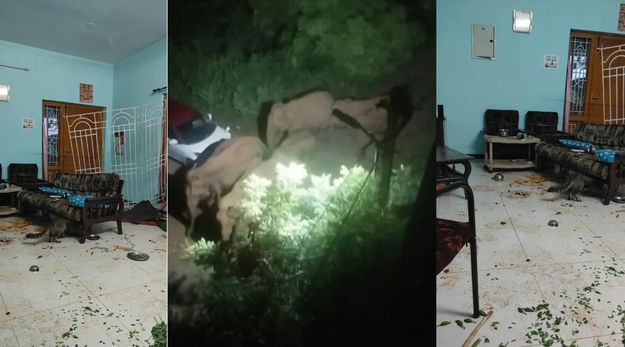 Wild elephants damage house near Thadagam Coimbatore video Tamil News 