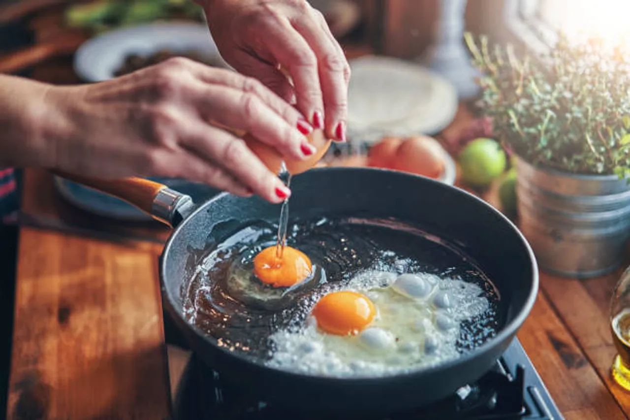 egg