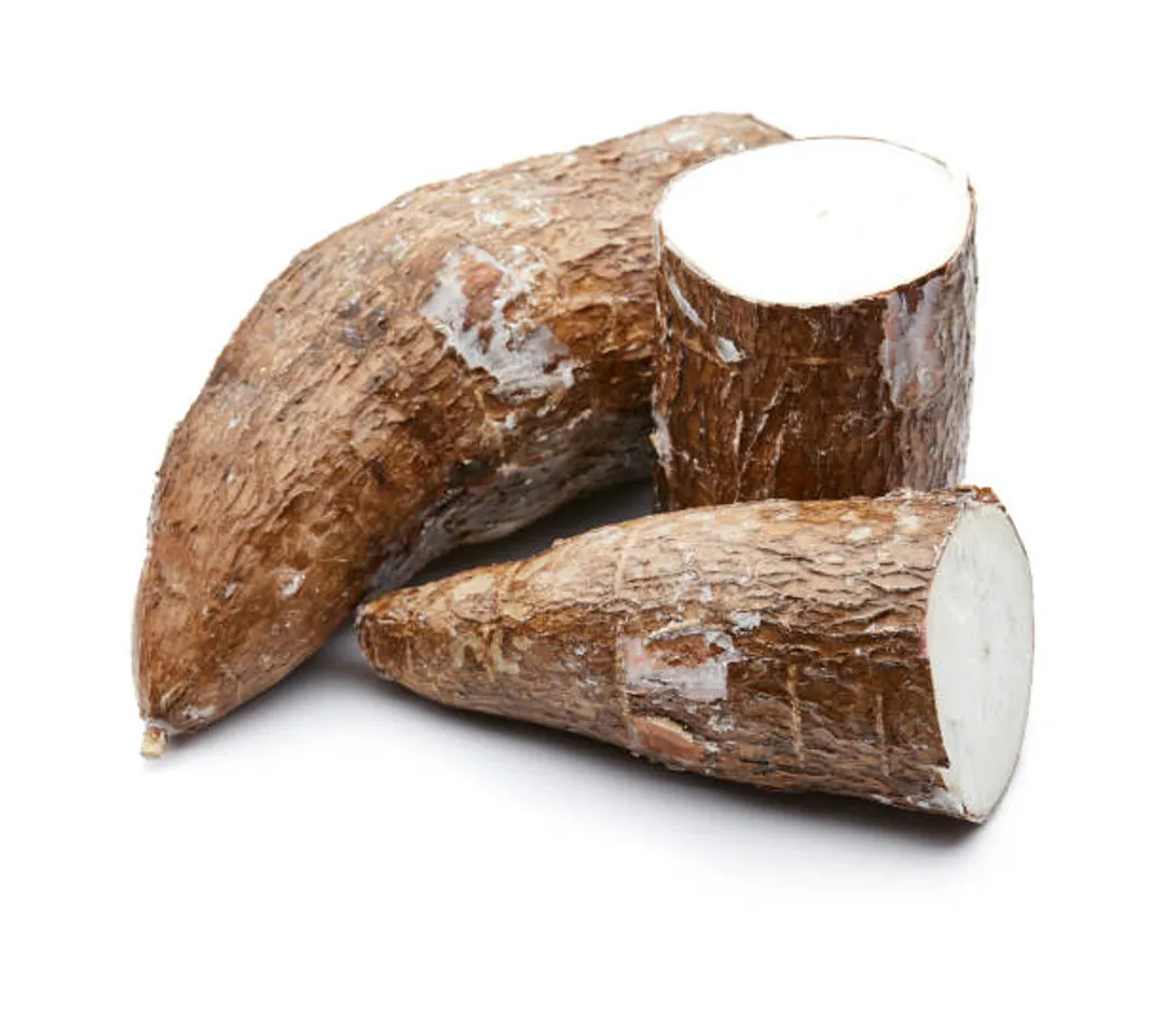 tapioca