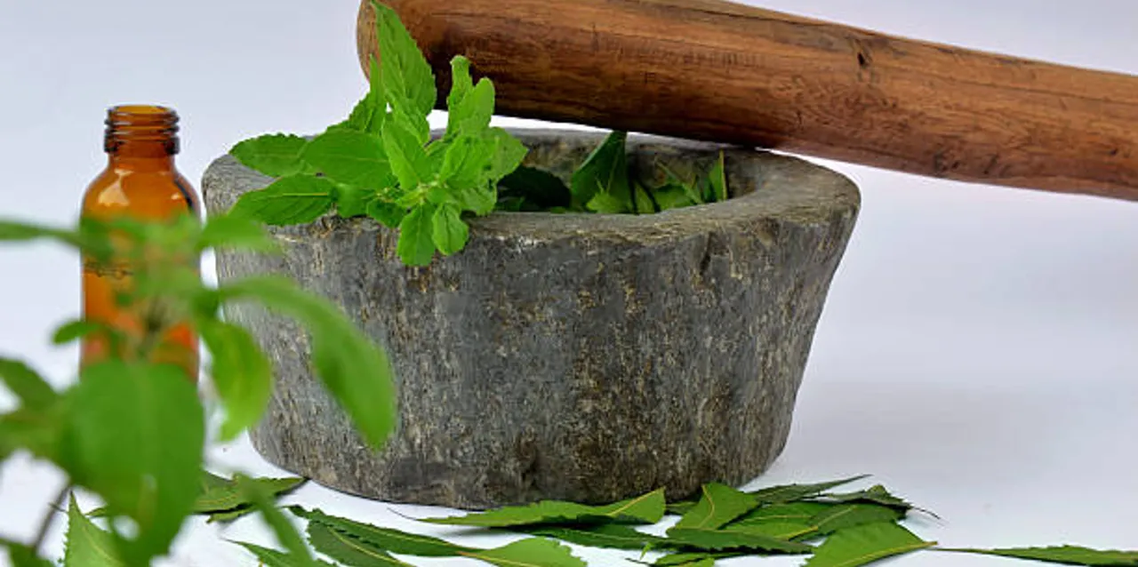 tulsi