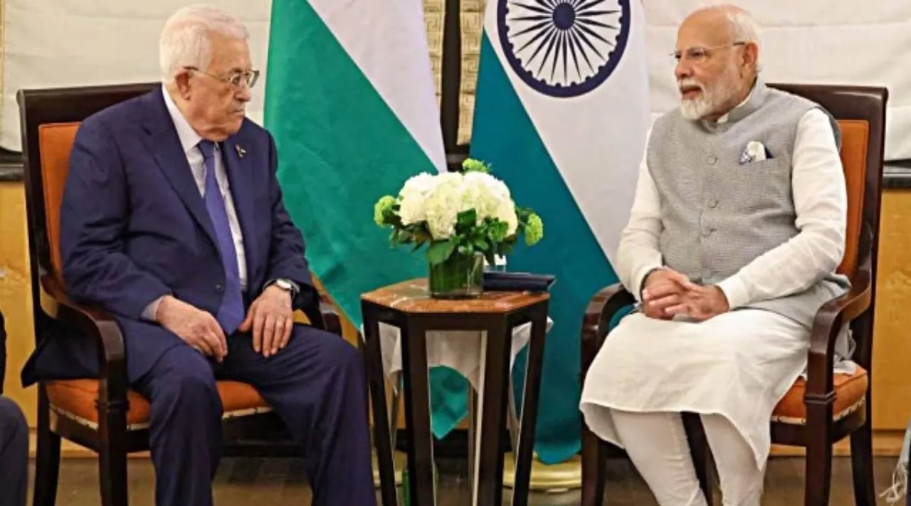 Modi pales