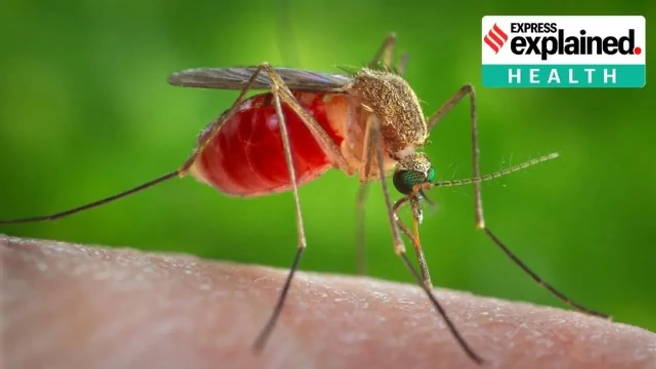 West Nile fever cases detected in Kerala What is the disease how can it be prevented