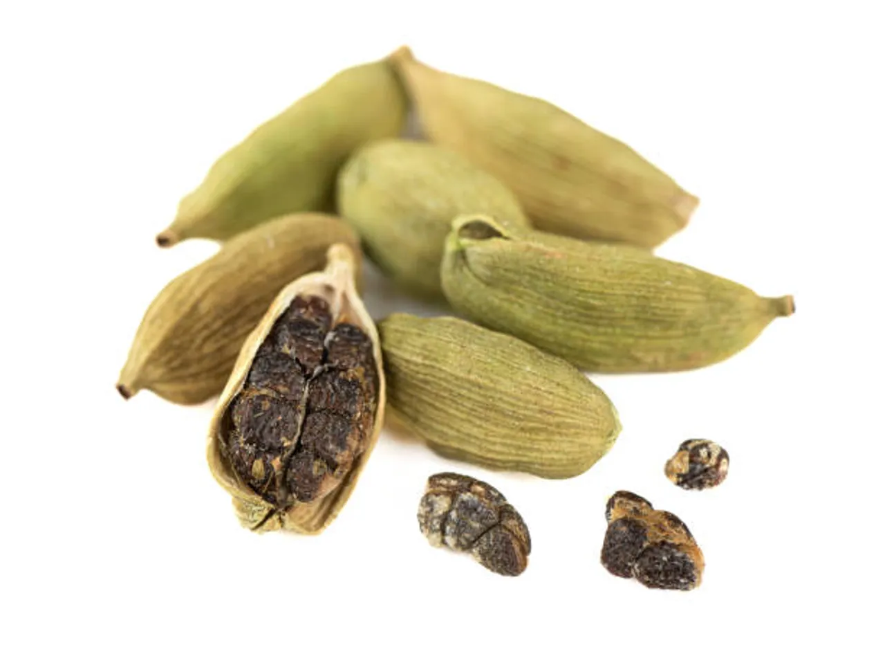 cardamom 