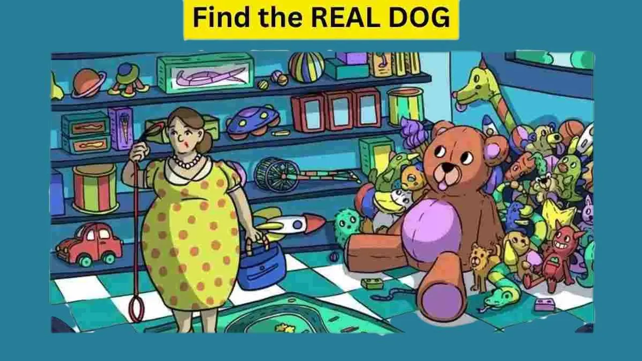 real dog