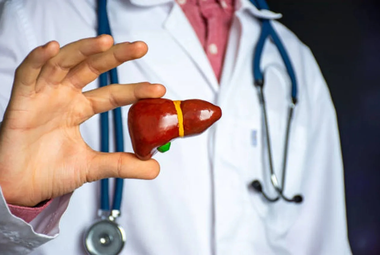 liver
