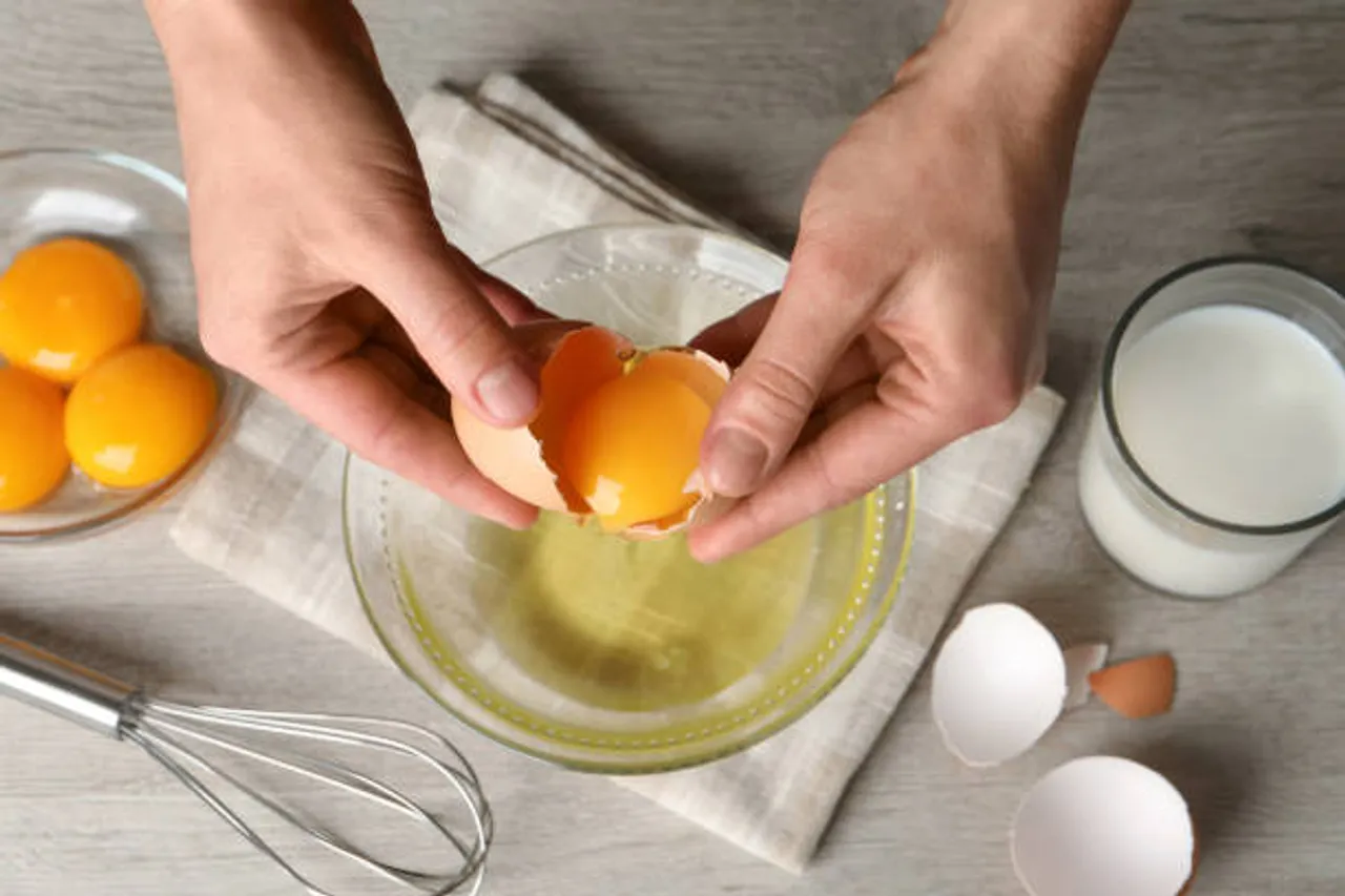 egg