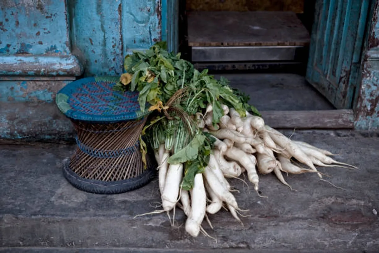 radish