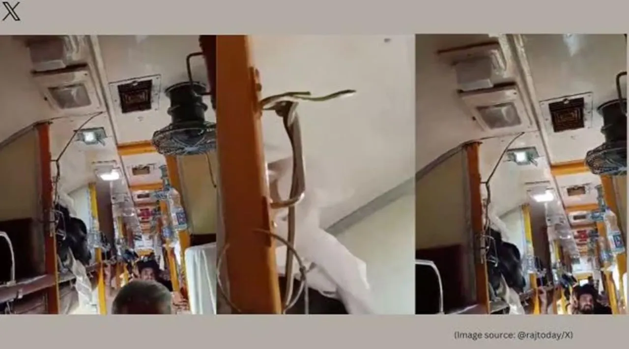 snake in train