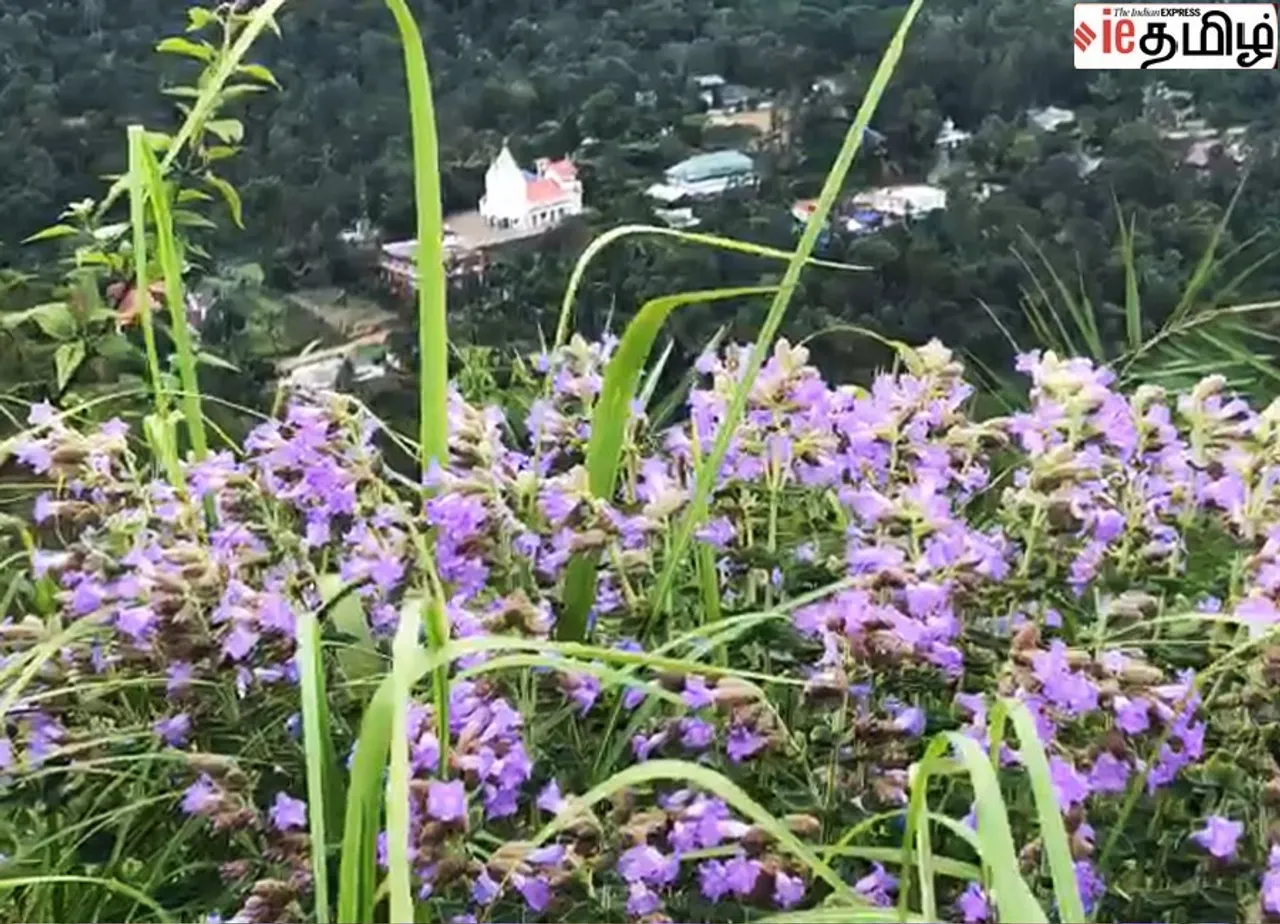 Idukki 