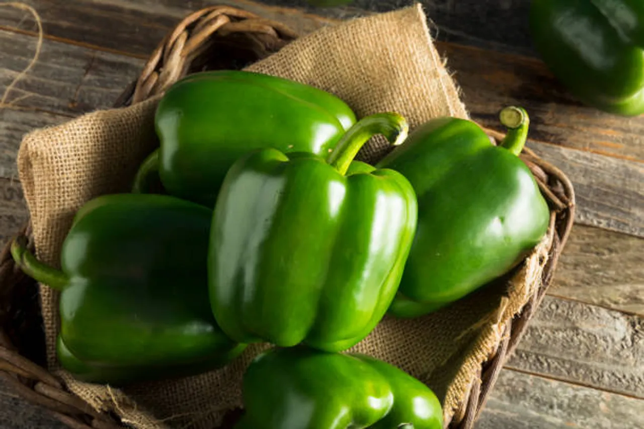 capsicum