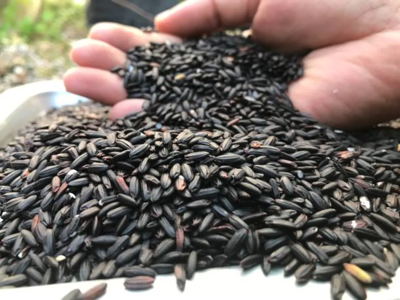 black rice