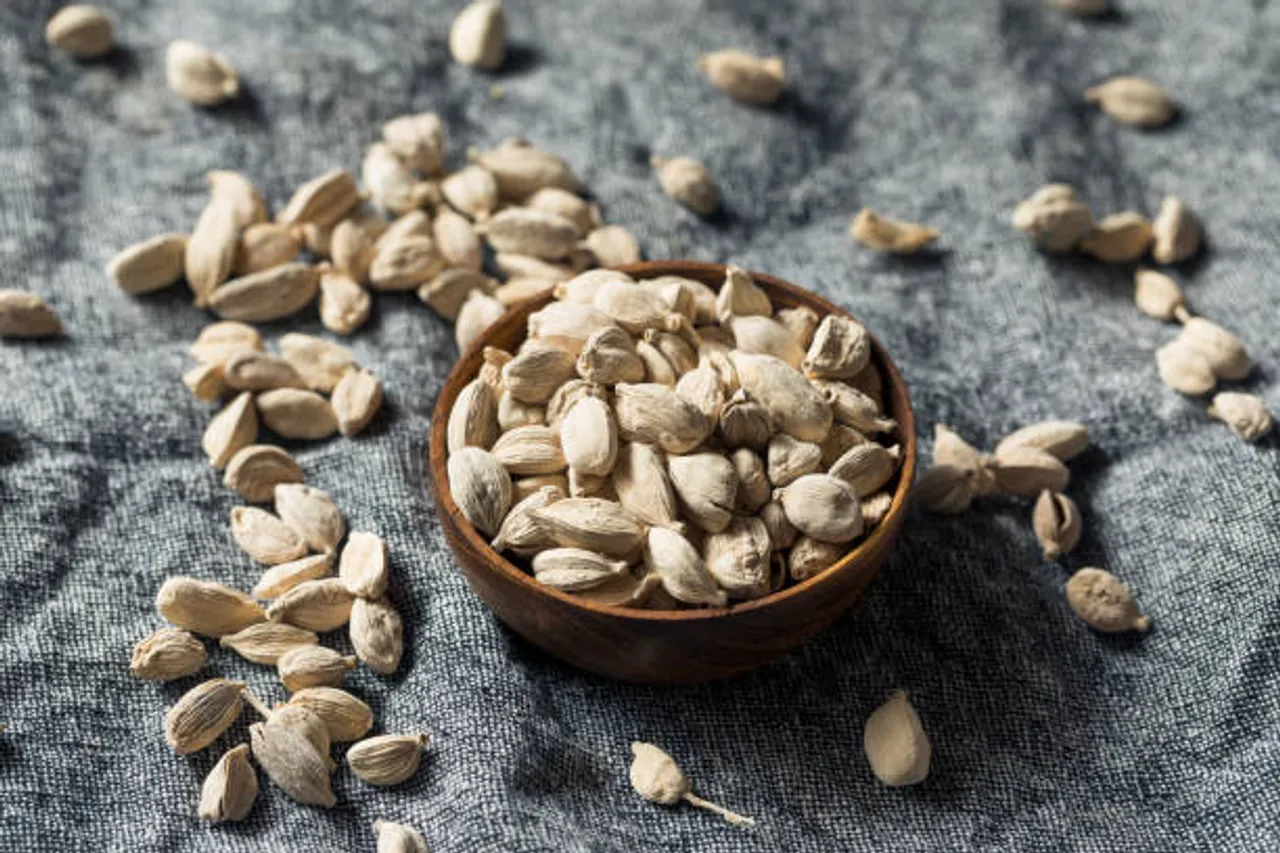cardamom 