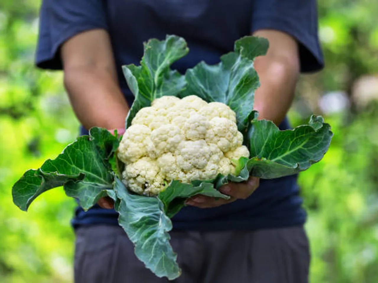 cauliflower